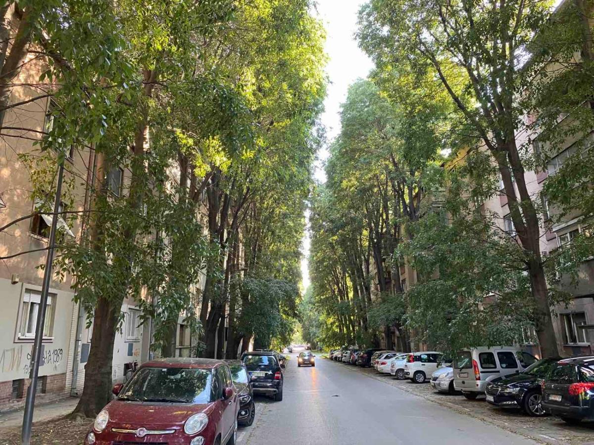 נובי סאד Duga Apartments מראה חיצוני תמונה